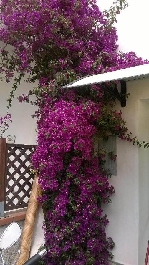Rainbow House With Garden Villa Viareggio Bagian luar foto